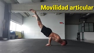 Ejercicios de movilidad articular y fuerza bodyweight [upl. by Nerac]