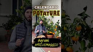 Calendario delle POTATURE  Alberi da frutto shorts [upl. by Aivital]