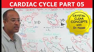 Cardiac Cycle  Systole amp Diastole  Dr Najeeb Part 58 [upl. by Satterfield]