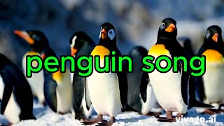 penguin song [upl. by Razal]