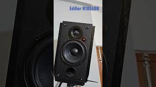 Edifier R1855DB Powereed Bookshelf Speakers are hard to beat edifier bookshelfspeaker [upl. by Auburn]