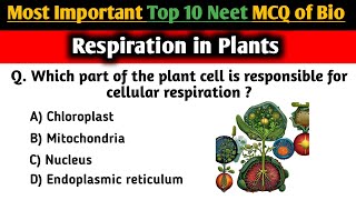 Respiration in Plants NCERT based Most Important Neet 2025 MCQs  respiration questions for neet [upl. by Aticilef]