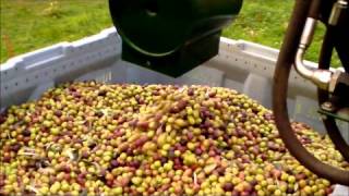 Aspiratore ed Avvolgitore per olive CRF 2012wmv [upl. by Nediarb]