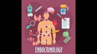 Endokrinologie  Fachbegriffe  Dr Ahmed Solyman [upl. by Meehahs414]