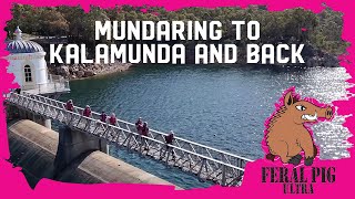 Feral Pig Ultra Info  Mundaring to Kalamunda and Back [upl. by Solley]