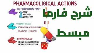 parasympathomimetic drugs acetylcholine cholinergic receptors شرح فارما مبسط 💊 [upl. by Morgen]