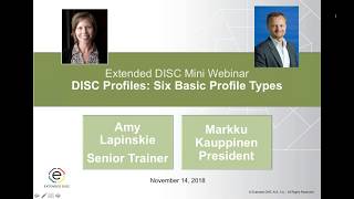 DISC Profiles Six Basic DISC Profile Types [upl. by Leonore]