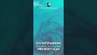 SOS Mini Bodyscan 1 Minute Soforthilfe zum Stressabbau  kurze Entspannungsübung SHORTS [upl. by Isla]