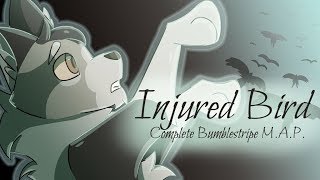 Injured Bird  COMPLETE Bumblestripe MAP [upl. by Teria]