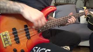 Vektor  Collapse Bass Cover [upl. by Mcgray539]