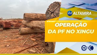 PF deflagra operação contra crimes ambientais em municípios do Xingu  SBT Altamira [upl. by Hsak]