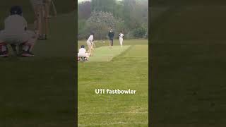 cricket fastbowlingaction ipl cricketleague fastbolling crickettournament [upl. by Mead]