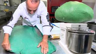 Pre Impasto Pizza 50 Biga 65 Idratazione e Impasto Spirulina da fare a casa con Campione dItalia [upl. by Eramal]