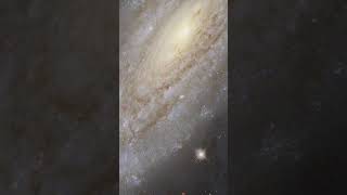 Galaxy NGC 3254 Tour with Hubble shorts [upl. by Leiso]