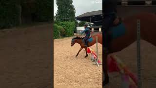 Mon bébé sauteur ❤️💖🥰💕🤩jumping horse love [upl. by Eerrahs]