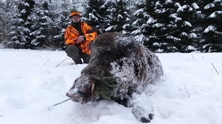 Schnelle Sauen im Schnee  Drückjagd in Masuren [upl. by Robbi]