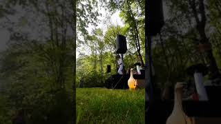 Music in the Forest improvisation jam trees concert guitar bosque music [upl. by Anyotal]