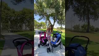 This is the TRUTH about PETIQUE pet strollers 😱 petstroller pets dogs cat pet petproducts [upl. by Atinuahs860]