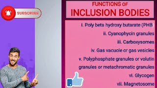 Functions of Inclusion Bodies [upl. by Oettam]