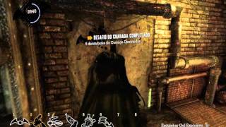 Batman Arkham Asylum  Charadas e Trofeus do Charada  Cavernas [upl. by Laehcar848]