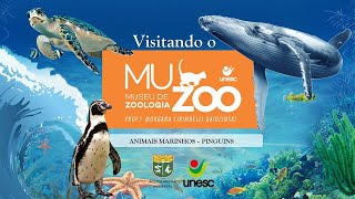 Animais Marinhos  Pinguim [upl. by Aron381]