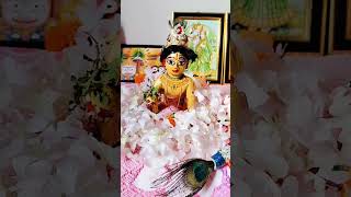 krishna minivlog [upl. by Kaye]