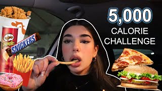 5000 CALORIE CHALLENGE [upl. by Thurman]