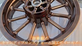 【ROAMENBER】Rays of Arion XV1900 OWNERS CLUB Long ver [upl. by Adliw]