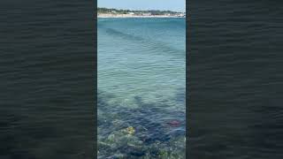 Narragansett Beach from the seawall June 13 2024 [upl. by Nolyarg]