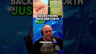 The Candiru Fish Every Guys Ultimate Nightmare  JRE joerogan jre scarystories animalfacts [upl. by Kinghorn]