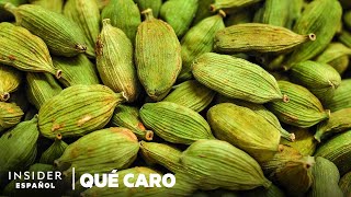 Por qué el cardamomo verde es tan caro  Qué caro  Insider Español [upl. by Ubald513]