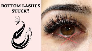 What To Do When Eyelash Extensions Get Stuck to the Bottom Eyelashes  Eyelash Extensions 101 [upl. by Pickar]