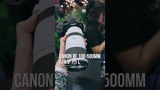 Which would you choose Canon RF 100500mm f4571 or Sigma 60600mm f4563 [upl. by Pfeffer]