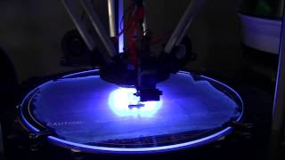 RADDS  Reprap Arduino Due Driver Shield Review on Mag Arm Rostock Max [upl. by Enenaej]