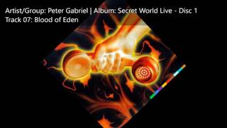 Peter Gabriel  Secret World Live Disc 1  07 Blood of Eden [upl. by Darrin]