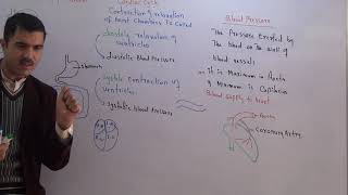 Pulmonary and systemic circulation blood supply to liver and coronary arteries [upl. by Lal]