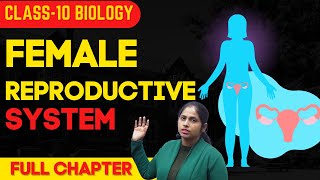 Female reproductive system  Reproduction  Biology class 10  COMPLETE TUTORIAL  LIGHTBEAM CLASSES [upl. by Nonnaihr]