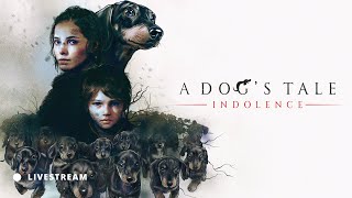 🔴 Wyspa doktora Szczureau — A PLAGUE TALE Livestream 5 [upl. by Ardnosac]