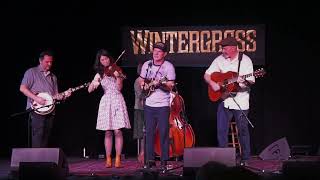 Whiskey Deaf Bluegrass Band  Anchored in Love Wintergrass 2024 [upl. by Morocco]