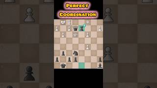 Perfect Piece Coordination chess shorts chessvideos [upl. by Lamson]