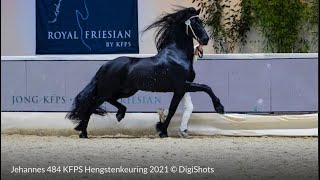 IMPORTED  STER FRIESIAN MARE FOR SALE [upl. by Uda]