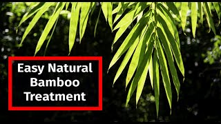 The Secret to LongLasting Bamboo Treating Bamboo with Borax and Boric Acid [upl. by Llebpmac883]