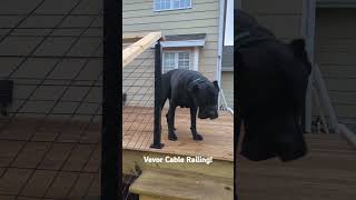 VEVOR DIY CABLE RAILING Affordable and easy project vevor [upl. by Irvine]