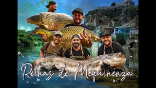 CARPFISHING REINAS DE MEQUINENZA [upl. by Llechtim]