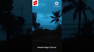 Scenic Beauty ll View From Bakkhali Beach Bungalow shortvideo youtube [upl. by Yaner526]