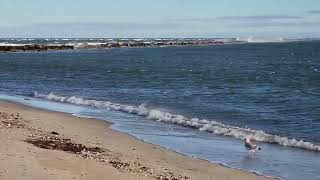 Jetties Beach Nantucket Island [upl. by Orvah]