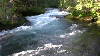 Very Relaxing 3 Hour Video of a Mountain Stream [upl. by Atnoed]