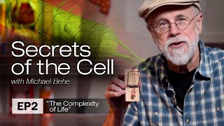 The Complexity of Life Secrets of the Cell with Michael Behe Ep 2 [upl. by Ahsircal872]