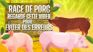 RACES DE PORC COMMENT LES CHOISIR POUR NE PAS FAIRE DERREURS [upl. by Nnawaj]