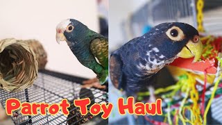 Pionus Parrot CHEAP Toy Haul  Quaffles 4th Birthday [upl. by Fay]